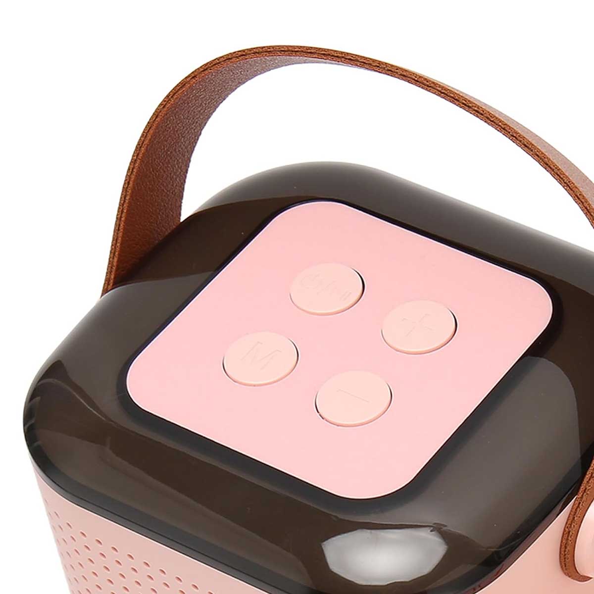 Mini Karaoke Machine Portable Bluetooth Speaker with Wireless Microphone
